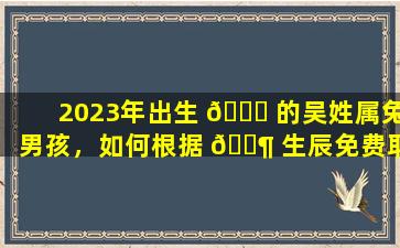 2023年出生 🍀 的吴姓属兔男孩，如何根据 🐶 生辰免费取一个好名字